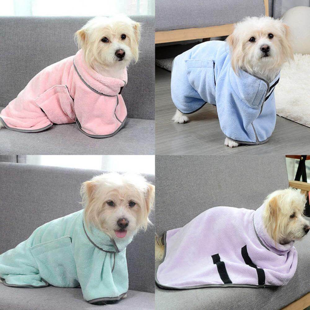 4 dogs, each wearing a microfiber dog towl in pink, blue, green and grey.