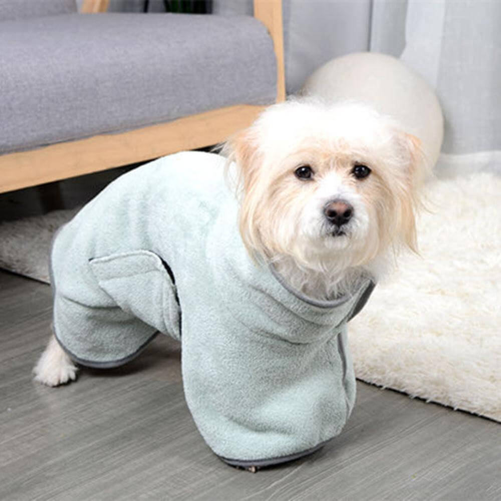 A dog wearing the microfiber dog towel in green.