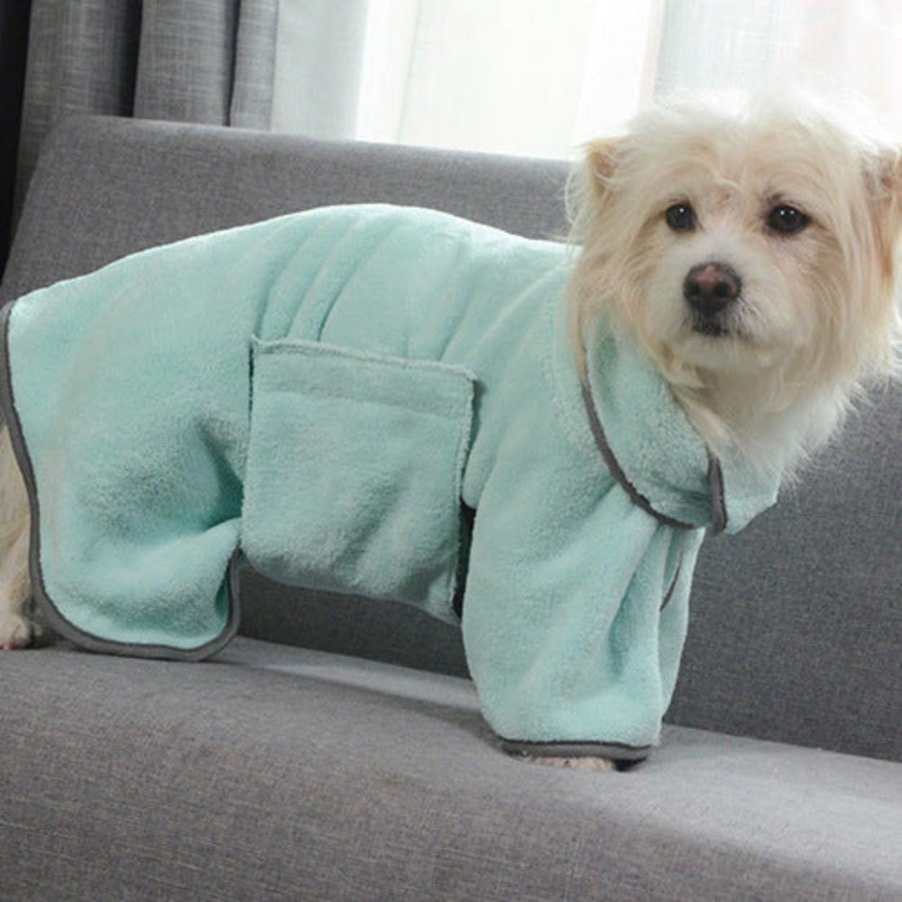 A dog wearing the microfiber dog towel in green.