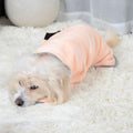 A dog wearing the microfiber dog towel in pink, lying on a white fluffy carpet.