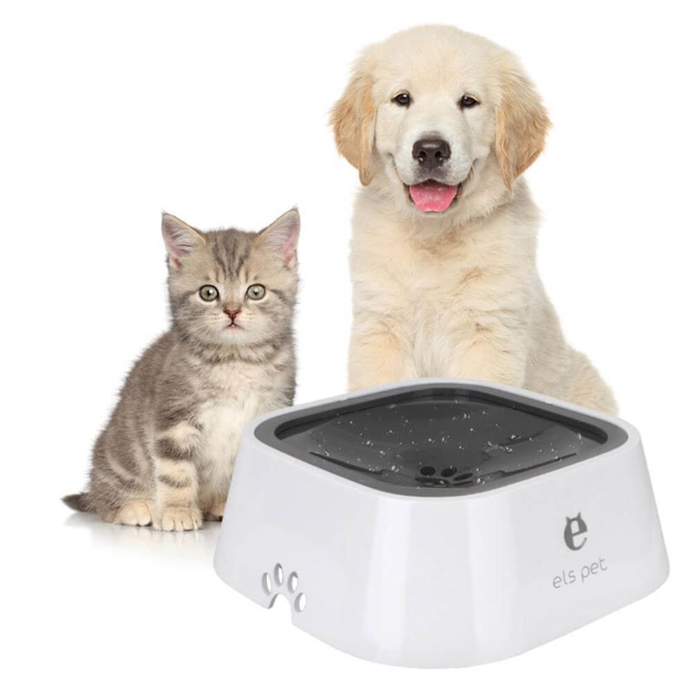 The no spill pet water bowl in white.