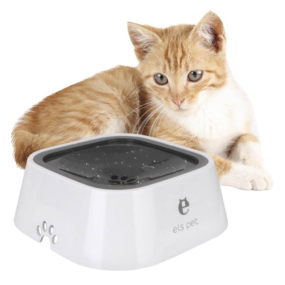 The no spill pet water bowl in gray with cat behind it.