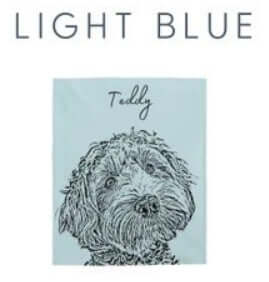 The personalized pet photo blanket in light blue with a dog and the name Teddy printed on it.