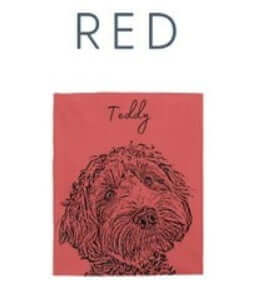 The personalized pet photo blanket in red with a dog and the name Teddy printed on it.