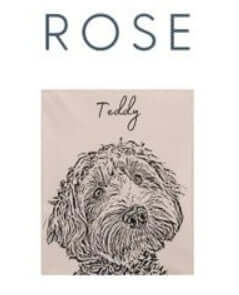 The personalized pet photo blanket in rose with a dog and the name Teddy printed on it.