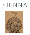 The personalized pet photo blanket in sienna with a dog and the name Teddy printed on it.