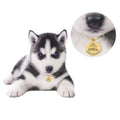 A husky dog wearing a gold personalized pet tag. A close up of the custom id tag in the top right corner.